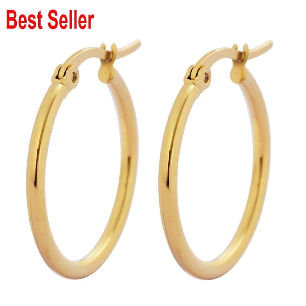 Stainless Steel Hoop Earrings Classic Elegant Minimal Chic Hinged Closure